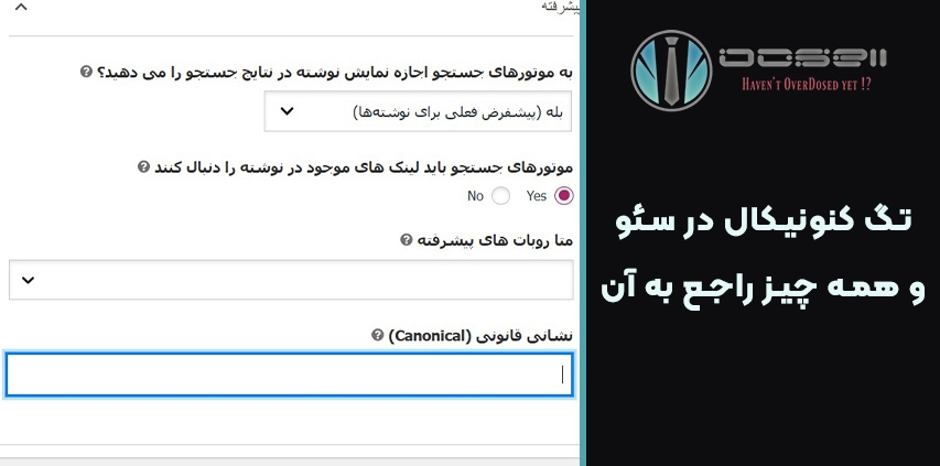 تگ کنونیکال در سئو و همه چیز راجع به آن